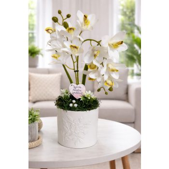 Elegáns gondozásmentes fehér orchidea 