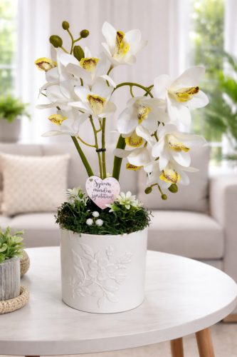 Elegáns gondozásmentes fehér orchidea 