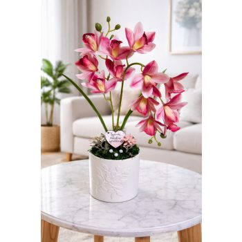 Gondozásmentes rózsaszín örök orchidea 
