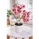 Gondozásmentes rózsaszín örök orchidea 