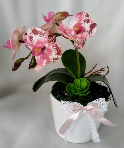 Mini rózsaszín örök orchidea 
